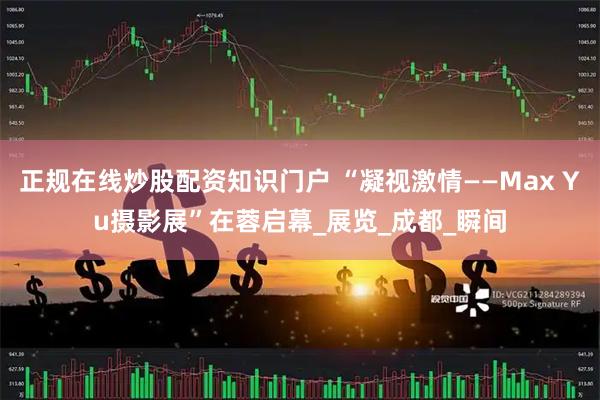 正规在线炒股配资知识门户 “凝视激情——Max Yu摄影展”在蓉启幕_展览_成都_瞬间
