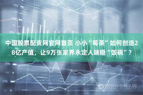 中国股票配资网官网首页 小小“莓茶”如何创造28亿产值，让9万张家界永定人端稳“饭碗”？