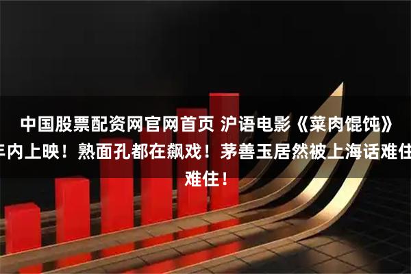 中国股票配资网官网首页 沪语电影《菜肉馄饨》年内上映！熟面孔都在飙戏！茅善玉居然被上海话难住！